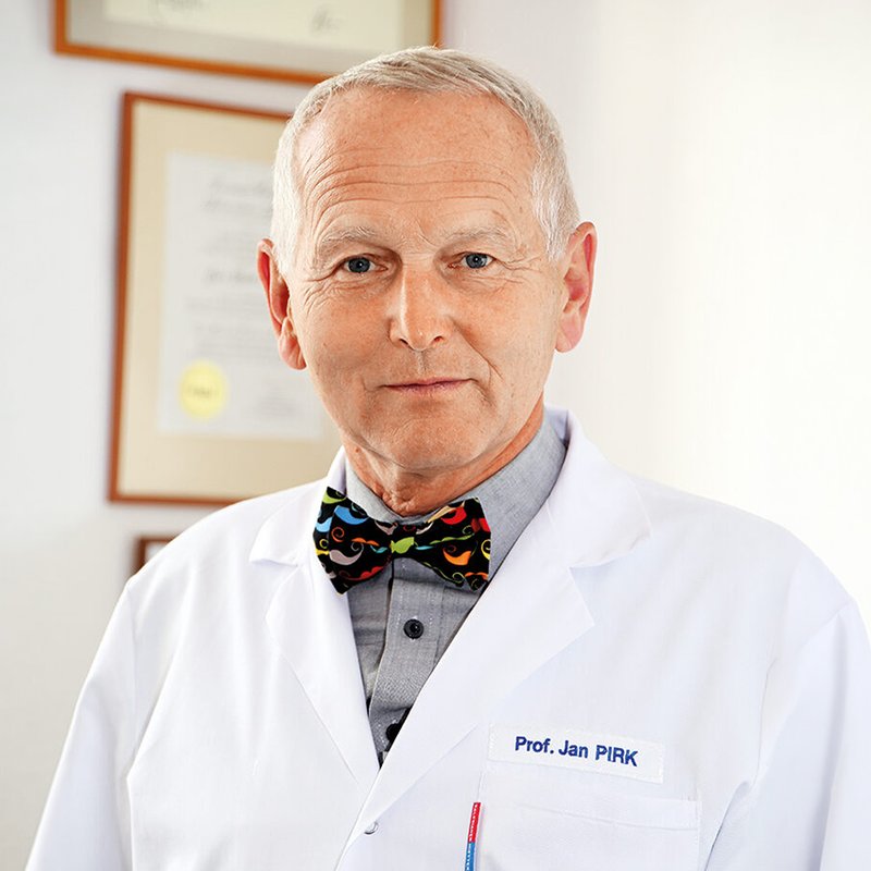 prof. Jan Pirk